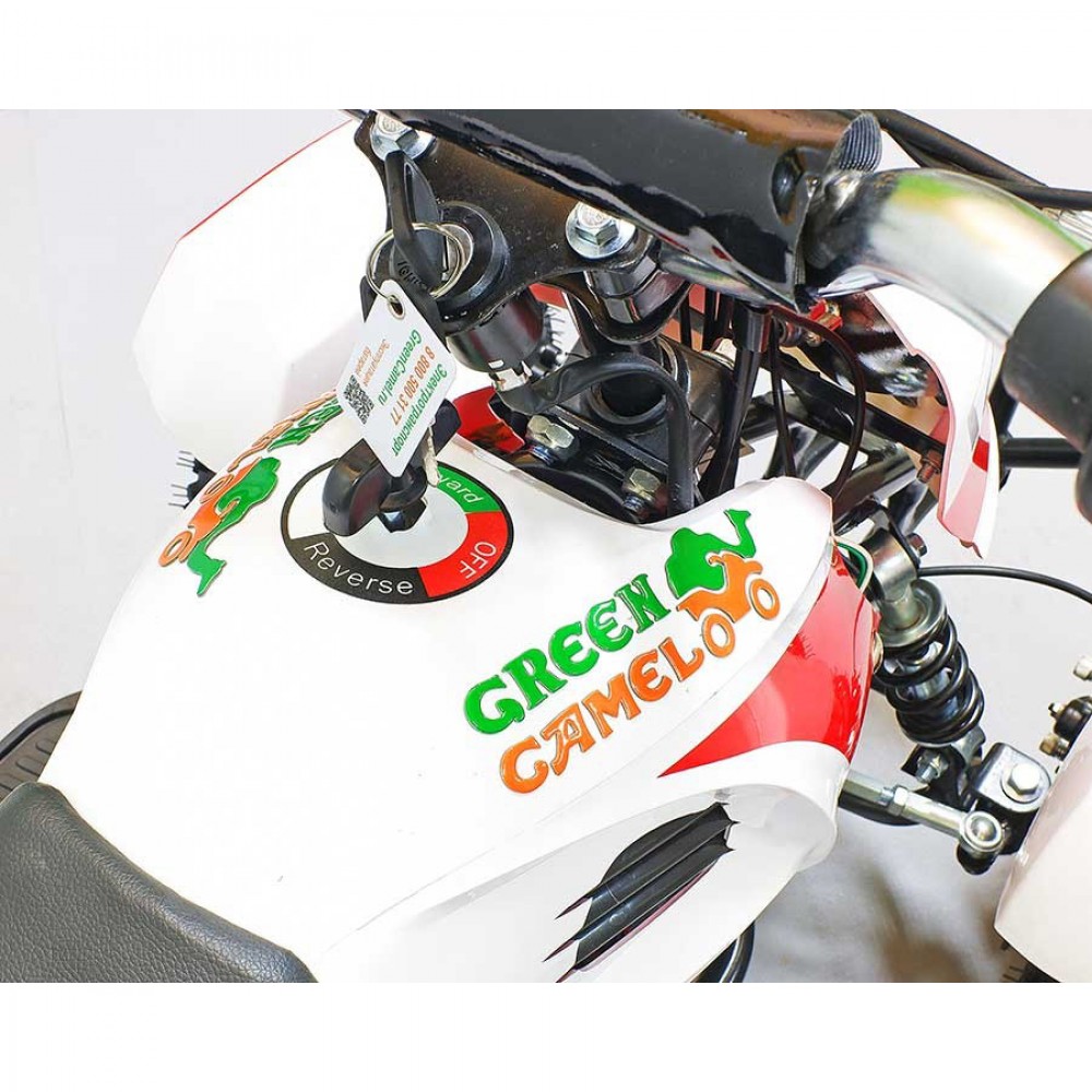 Квадроцикл GreenCamel Гоби K12 (24V 350W R4 Цепной привод)